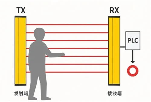 Light Curtain With Muting